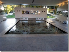 IMG_3210 IMG_3210