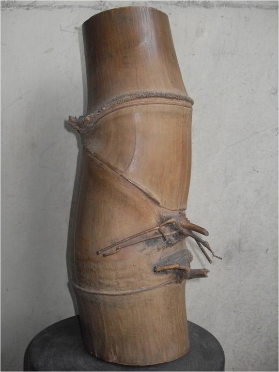 [Bambu antik tunas temu[4].jpg]