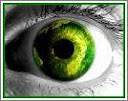Green Star Eye for a Eye