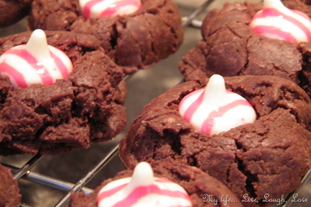 [chocolate cookies with candy cane kisses 004[16].jpg]