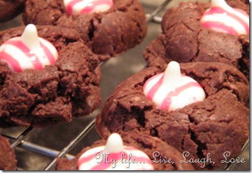 chocolate cookies with candy cane kisses 004