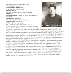 Twilight Book 028