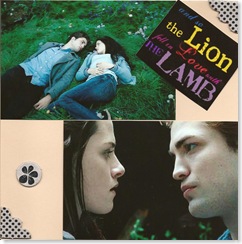 Twilight Book 035