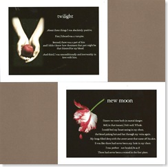 Twilight Book 004