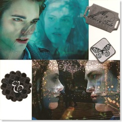 Twilight Book 021