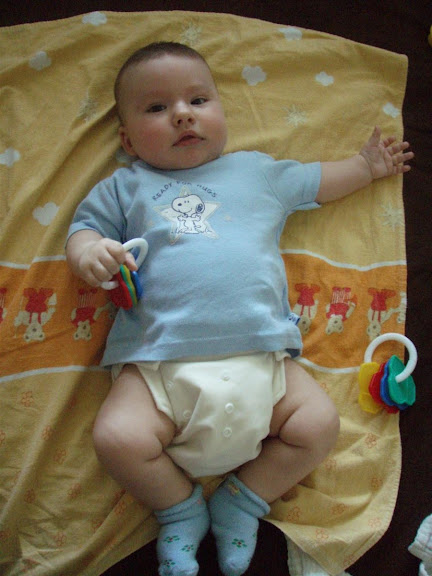 http://lh3.ggpht.com/_8ZobuCmQ5No/TDO-Kete-cI/AAAAAAAAAj0/mIibp09MF2Y/s576/P7022818%20%28Custom%29.JPG