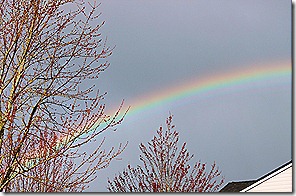 A Rainbow…A Promise