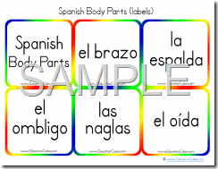 Spanish Body Parts (labels)
