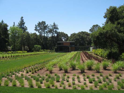 home garden landscaping design hoem decorating