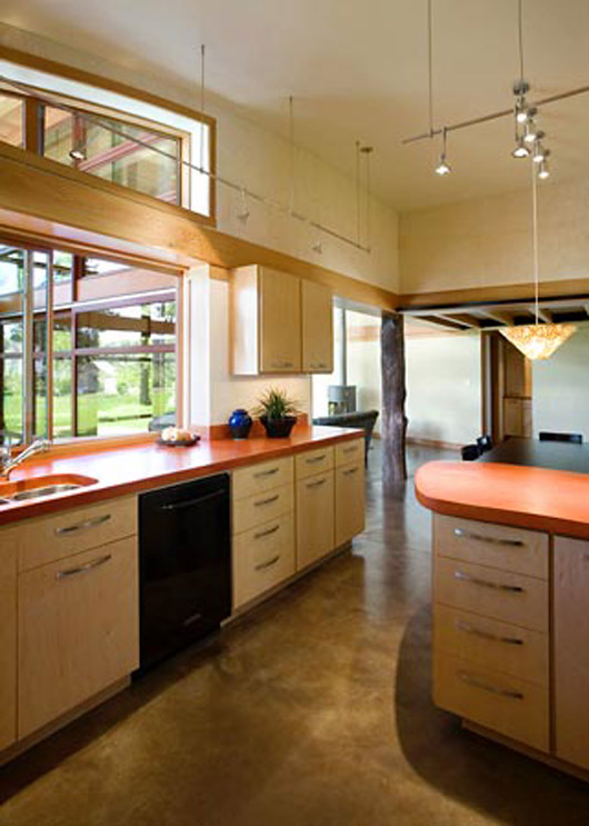 Curved Roof Design Modern Home With Garden Decorating - Kitchen modern glass house design kitchen decorating