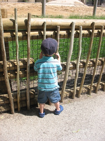 [June20100802.jpg]