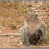 DSC_1306_GF.jpg, Album Voyage Viet-Nam et Cambodge