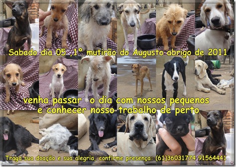 convite mutirão2011 convite mutirão2011