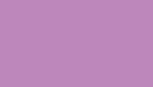 [SS10-Violet[5].jpg]