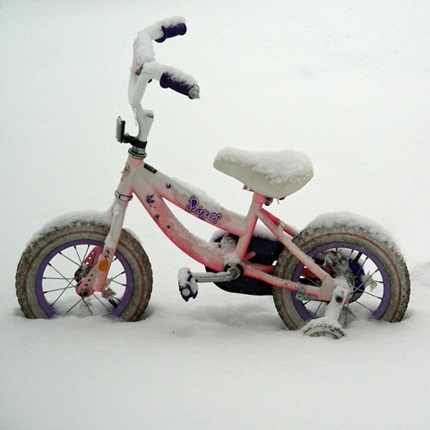 [natale bicicletta bambina[6].jpg]