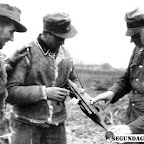 g41insp.jpg