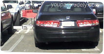 youparkrudely.com