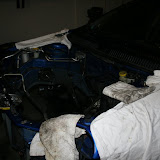 IMG_6559.JPG