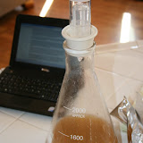 IMG_6651.JPG