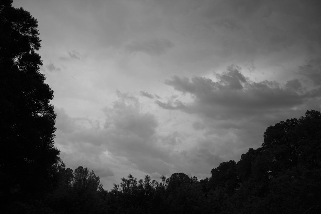 [IMG_3895[2].jpg]