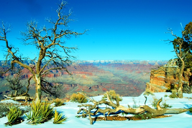 [Grand Canyon 047[6].jpg]