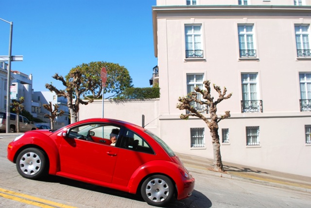 [San Francisco 064[8].jpg]
