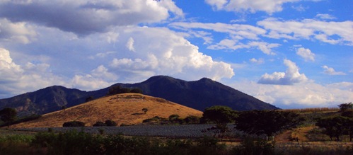 DSC00806