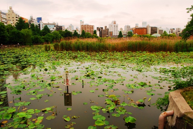 [Ueno - Tokyo 013[6].jpg]