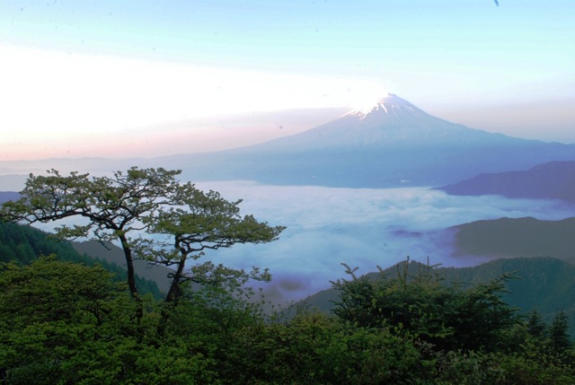 [Fujiday30065.jpg]