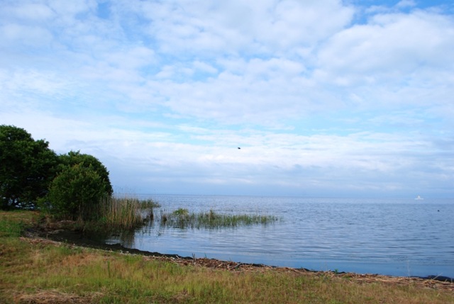 [LakeBiwa0045.jpg]