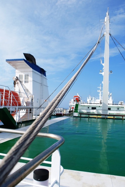 [Ferry0445.jpg]