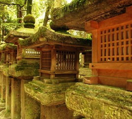 Nara 013