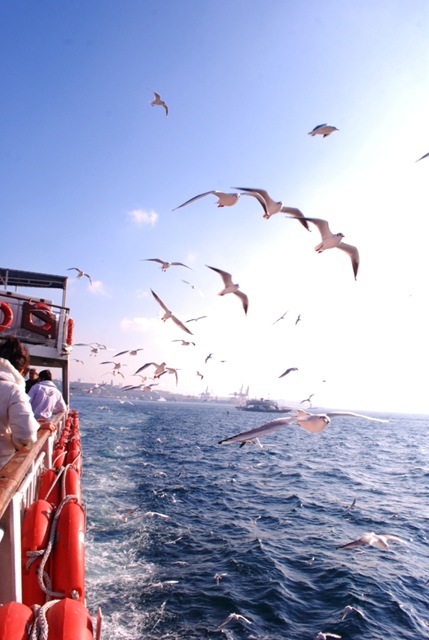 [RoutedIstanbul0308.jpg]