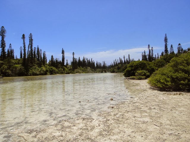 [DSC00593[3].jpg]