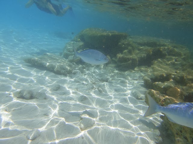 [DSC00610[3].jpg]