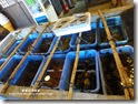 P1090205v P1090205v