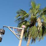 DSC02831.JPG