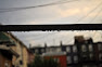Thumbnail image for Wordless Wednesday 9.30.2009