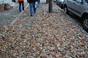 Thumbnail image for Wordless Wenesday 10.28.2009