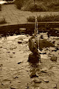 Thumbnail image for Wordless Wednesday 10.27.2010
