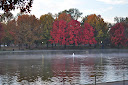 Thumbnail image for Wordless Wednesday 11.24.2010