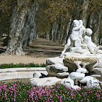 IMG_5437.jpg