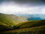 IMG_4150.jpg