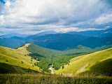 IMG_4216.jpg