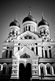 IMG_1422.jpg