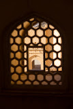 IMG_8658.jpg