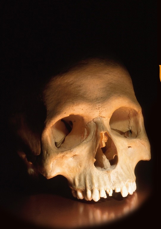 Happy-Halloween-Skull