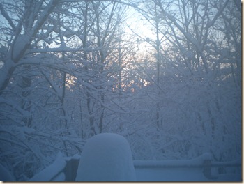 Feb2010 Snow14