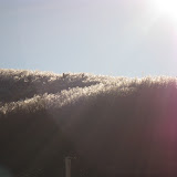 Icy Mt. Beacon