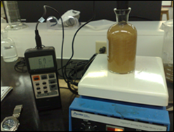 Figure 15 - Sartorius Oxygen Meter Figure 15 - Sartorius Oxygen Meter